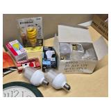 Various Light Bulbs and Wall Clock including Westinghouse Daylight Twist, EverBrite LED, and Sunbeam Anti-Insect Bulbs