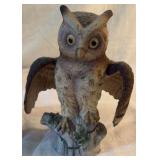 Owls