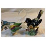 Miniature Birds