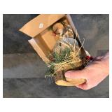 box of Northwoods table center pieces
