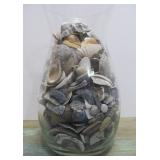Large Vase Full of Assorted Seashells