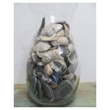 Large Vase Full of Assorted Seashells