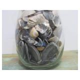 Large Vase Full of Assorted Seashells