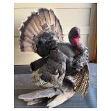 Genuine Taxidermy Turkey