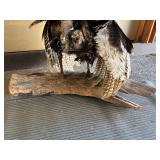 Genuine Taxidermy Turkey