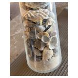Large Glass Vase Full of Seashells