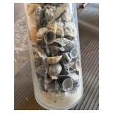 Large Glass Vase Full of Seashells