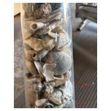 Large Glass Vase Full of Seashells