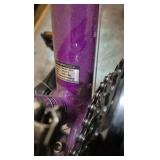 schwinn bicycle