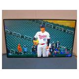 55' NEC MA551 MultiSync 4K UHD LED-Backlit LCD Monitor and HDMI Cable - does NOT include Remote Control