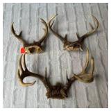 Antlers