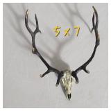 Bronze Zentique Deer Skull Sculpture