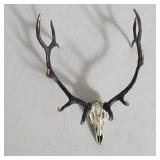Bronze Zentique Deer Skull Sculpture