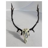 Bronze Zentique Deer Skull Sculpture