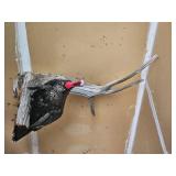 Full Body Turkey Taxidermy Mount on Driftwood Display