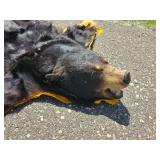 Black Bear Hide Rug with Felt Backing