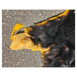 Black Bear Hide Rug with Felt Backing