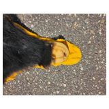Black Bear Hide Rug with Felt Backing