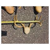 Collection of Deer and Antelope Antlers and Horn Mounts
