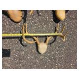 Collection of Deer and Antelope Antlers and Horn Mounts