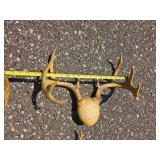 Collection of Deer and Antelope Antlers and Horn Mounts