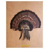 Turkey Feather Wall Fan Display with Tassel Accents