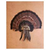 Turkey Feather Wall Fan Display with Tassel Accents