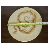 Round Fossil Snake Skeleton Wall Plaque