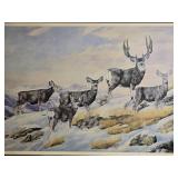 Signed Limited Edition Mule Deer Wildlife Print, Numbered 116 of 250