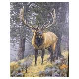Signed Bruce Miller Elk Wildlife Print