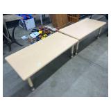 2 Strong Plastic Tables - 18 inches tall, 48 inches long, 24 inched wide
