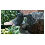 FY - Lovebirds Birdbath