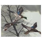 LLR - Ron Nelson Ducks in Flight Print