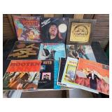 Lot of Rock and Country Records / Lps - Seger and More!