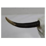 Decorative Longhorn Skull on Stand