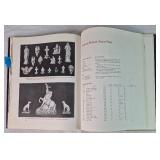 Belleek Final Collection with Collectors Guides and 8 Porcelain Pieces