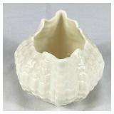 Belleek Ireland Porcelain Limpet Collection - Various Marks and Years
