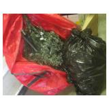 (RM4) Large Christmas Tree with Lig...