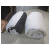 (D-2) New Beach Bag Cooler with 2 B...