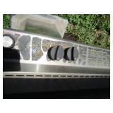 Gas BBQ Grill