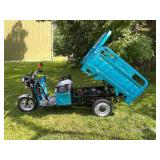 2025 SDLANCH 3-Wheel Electric Tricycle Vehicle (IRET13) - Blue