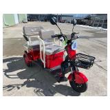 2026 SDLANCH Electric Tricycle Mini Golf Cart (IRGC40) - Red, MGC40