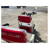 2026 SDLANCH Electric Tricycle Mini Golf Cart (IRGC40) - Red, MGC40