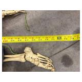 Halloween Skeleton Scarecrow Prop in Overalls & Flannel