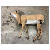 Deer Archery Target With Detached Antlers