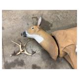 Deer Archery Target With Detached Antlers
