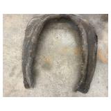Horse Saddle Pads (Lot of 4)