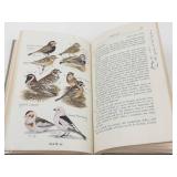 Vintage Western Hardcover Book Lot - Audubon, Wyoming & Border Boys
