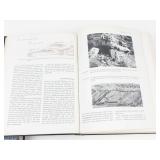 Geology Books Mixed Lot: Abell, Gilly & Minnesota Press