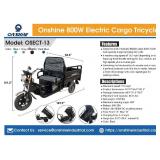 Electric Cargo Tricycle Purple